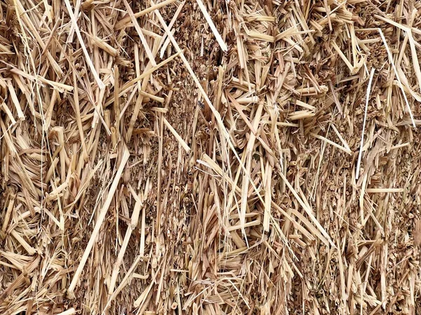 Close Dry Straw Country Farm — Stock Photo, Image