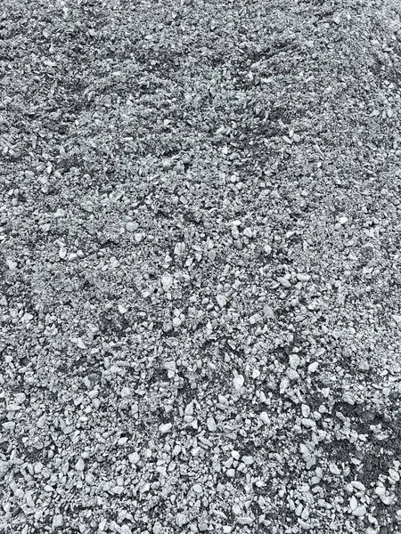 Nahaufnahme Von Trockenem Stein Auf Dem Boden — Stockfoto