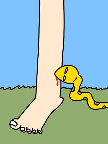 Snake Bites Man Leg Cartoon — Stock Photo, Image