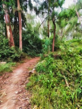 Ormanda yol sanatının rengi