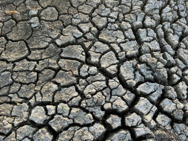 Tayland 'da kuru çatlak toprak dokusu