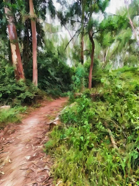 Ormanda Yol Sanatının Rengi — Stok fotoğraf
