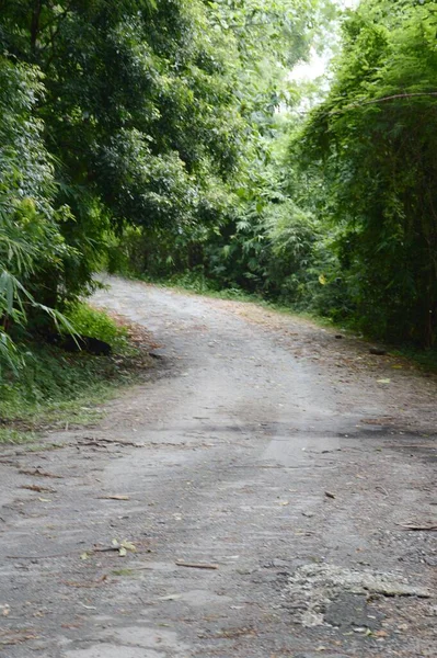 Estrada Floresta Chonburi Tailândia — Fotografia de Stock