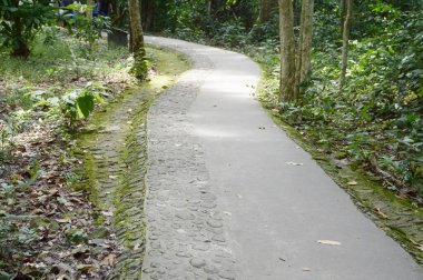 Khao Chamao 'da yürüyüş yolu, Rayong, Tayland