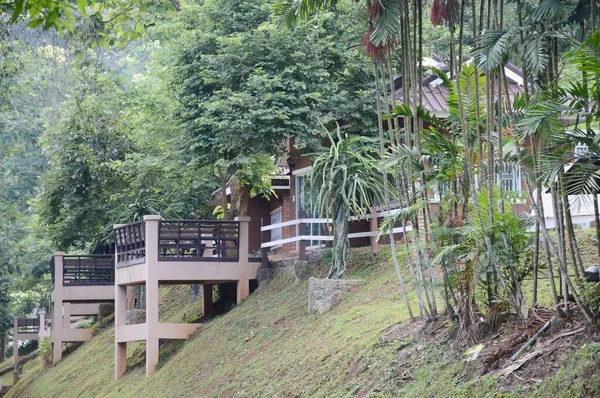 Jardim Natural Chiang Mai Tailândia — Fotografia de Stock