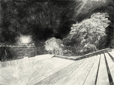 Gece bahçesinin siyah ve beyazı