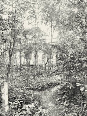 Ormandaki terk edilmiş evin siyah ve beyazı