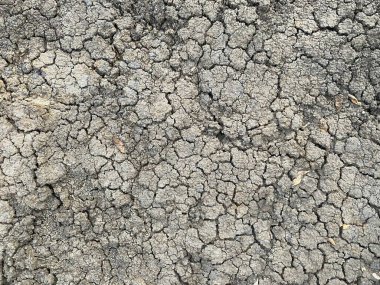 Tayland 'da kuru çatlak toprak dokusu
