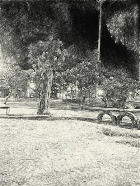 Schwarz Weiß Des Nachtgartens — Stockfoto