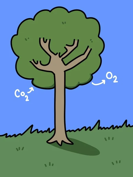 Tree Cartoon Blue Background - Stock-foto