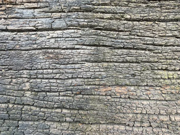 close up old broken wood plank texture