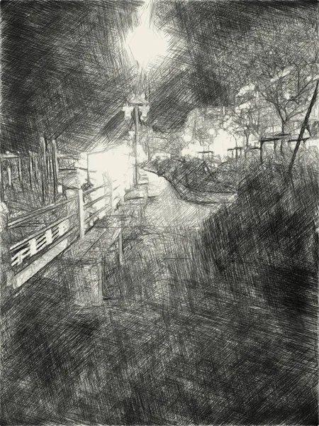 Schwarz Weiß Des Nachtgartens — Stockfoto