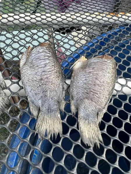 Pescado Salado Seco Tilapia Del Nilo Cocina Local Tailandia — Foto de Stock