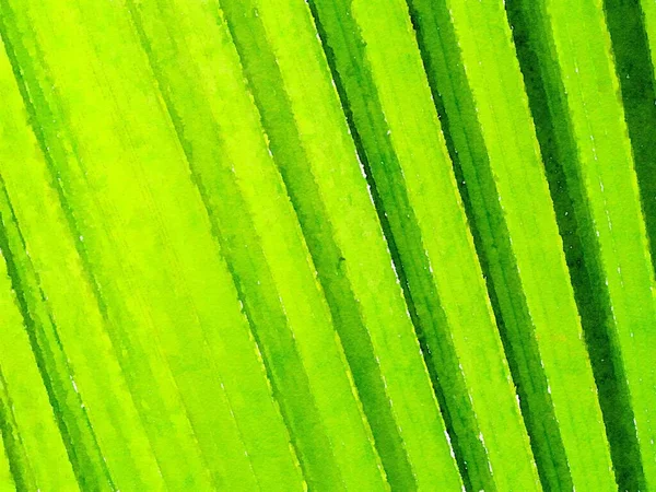 Color Verde Fondo Abstracto — Foto de Stock