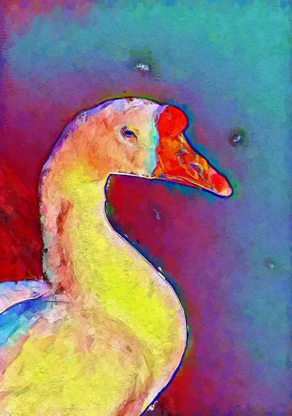 Art Cute Duck Cartoon Background — Photo