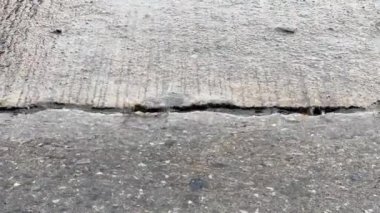 Şiddetli yağmur beton zemine düşüyor