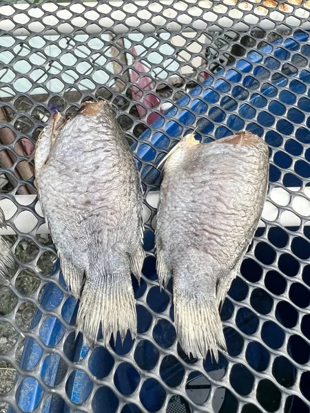 Tilapia Seca Salada Suelo Bambú — Foto de Stock