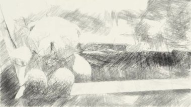 black and white of teddy bear background