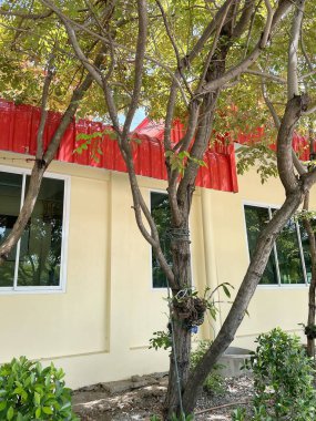 Sahilde kırmızı ve beyaz şemsiye