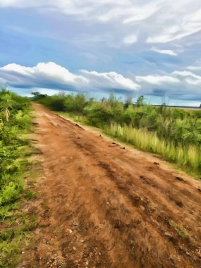 close up road in the countryside