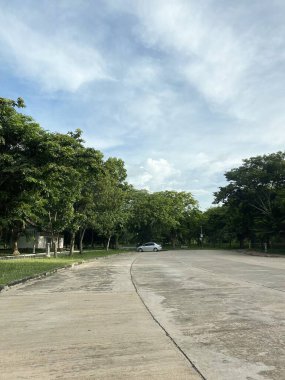 Parkın güzel manzarası