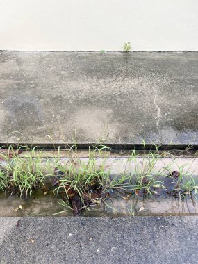 old cement floor with green grass
