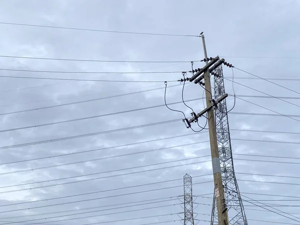 Torre Alto Voltaje Transmisión Electricidad —  Fotos de Stock