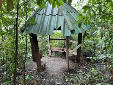 Ormanda ahşap bir bank