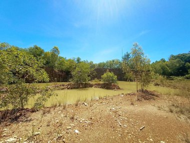 Nehir ve ağacı olan güzel bir manzara.