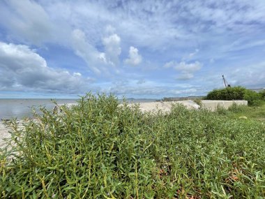 Güzel deniz manzarası