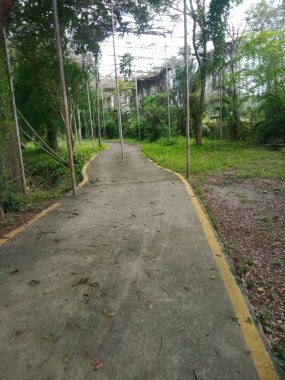 close up road in the park