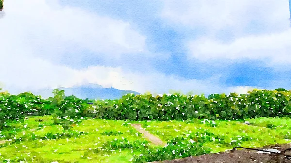 Watercolor Painting Beautiful Green Grass — 图库照片