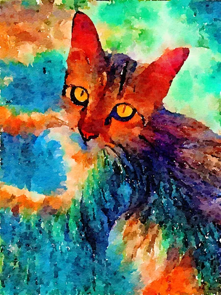 Abstract Background Watercolor Rainbow Cat Illustration — Photo