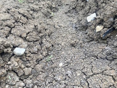 close up cracked soil texture background
