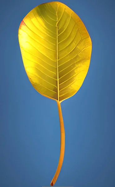 Gold Leaf Blue Background — Stock fotografie