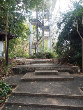 Parkın güzel manzarası