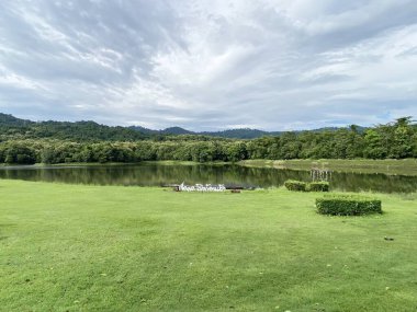 Güzel göl manzarası