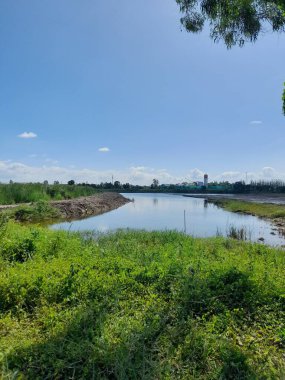 Parktaki nehrin güzel manzarası
