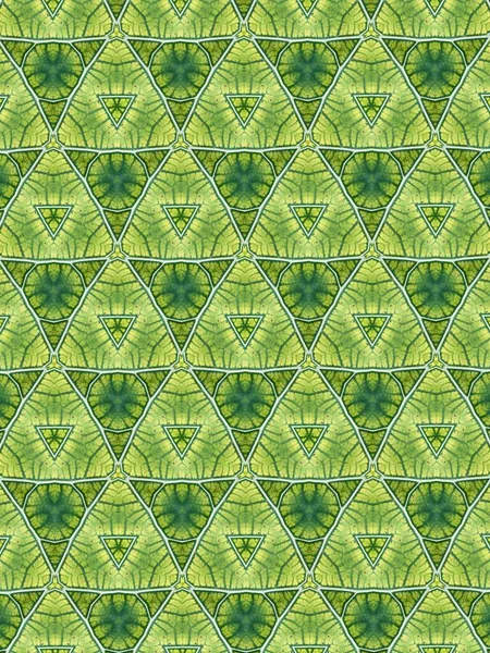 Abstract Green White Seamless Pattern — Photo