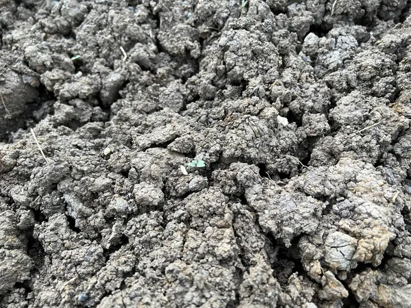 Textura Del Suelo Agrietado Fondo — Foto de Stock