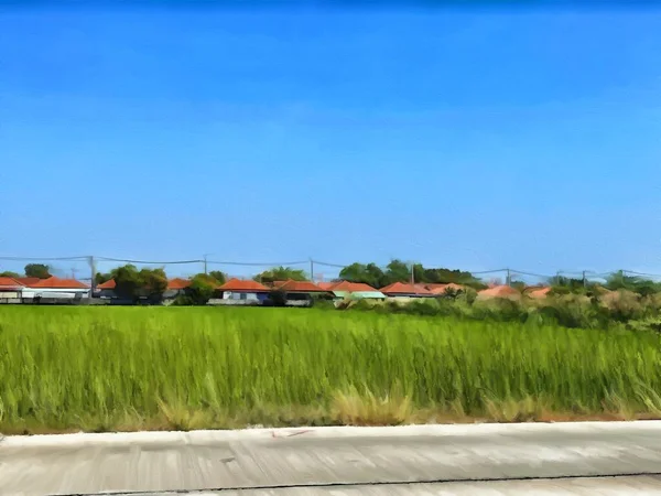 Prachtig Uitzicht Het Platteland — Stockfoto