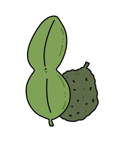 Kaffir Lime Leaf Fruit Cartoon White Background — 스톡 사진