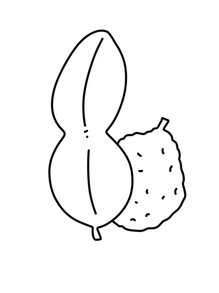 Black White Kaffir Lime Leaf Fruit Cartoon Coloring — Stok fotoğraf
