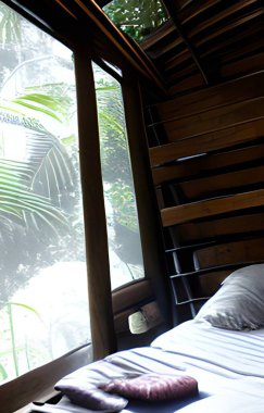 3d illustration - bedroom in forest background