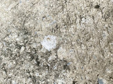 bird drop on cement floor
