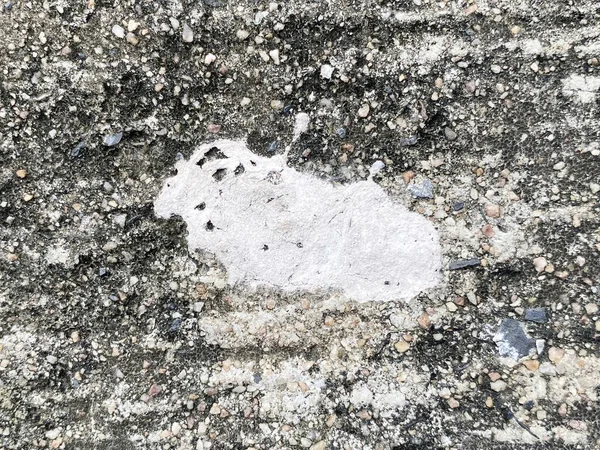 Bird Drop Cement Floor — Stockfoto