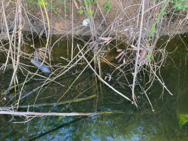 Plastic bottle garbage in river