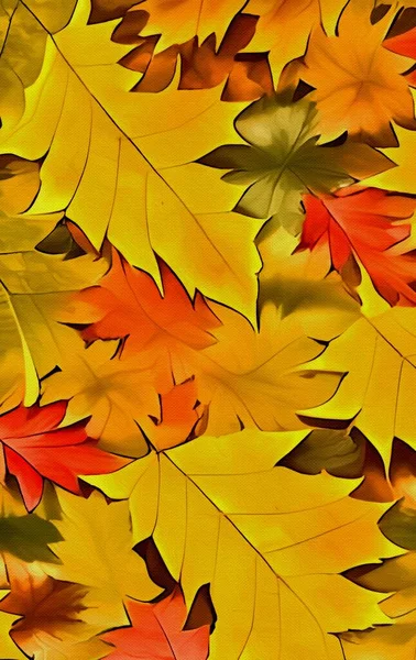 秋天叶背 多彩的枫叶 — 图库照片