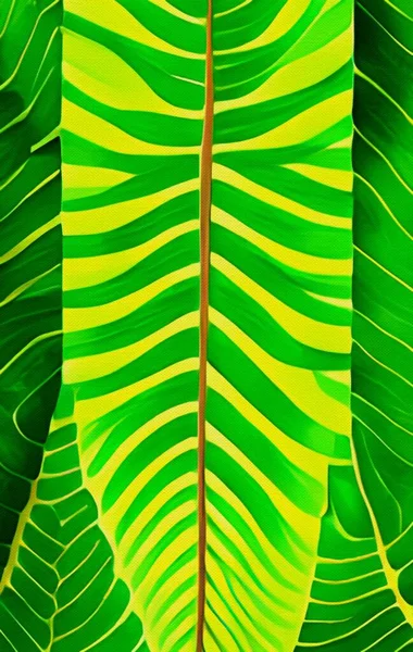 Green Leaves Palm Leaf White Background — Stockfoto