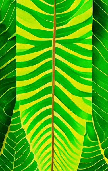 green leaves of palm leaf on a white background.